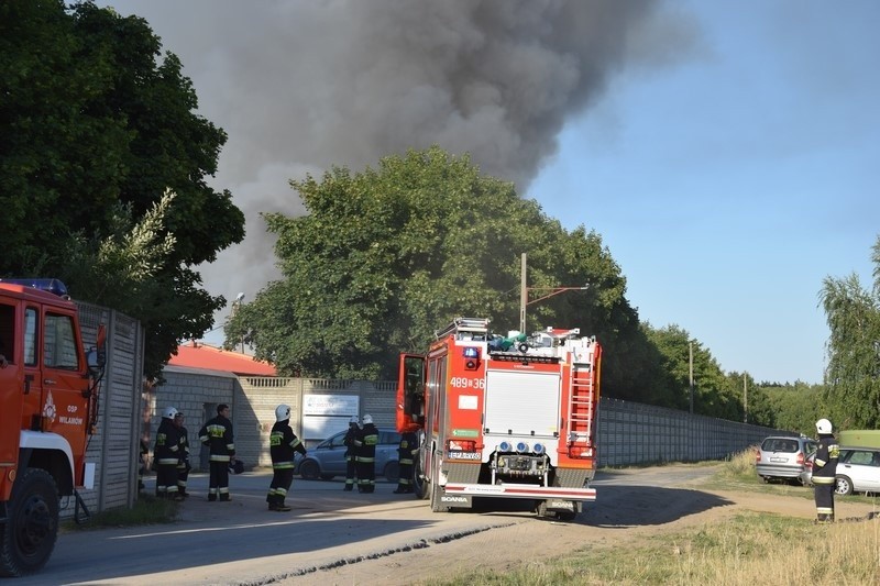 Pożar wysypiska śmieci w Mostkach koło Zduńskiej Woli