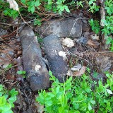 Trzy pociski z czasów wojny znaleziono w lesie w Suchedniowie