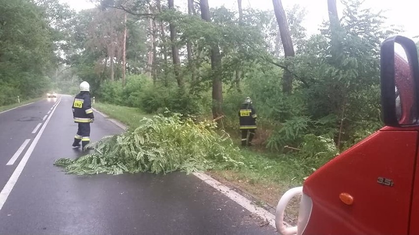 Zdjęcia dzięki uprzejmości OSP Czyżew

OSP Czyżew