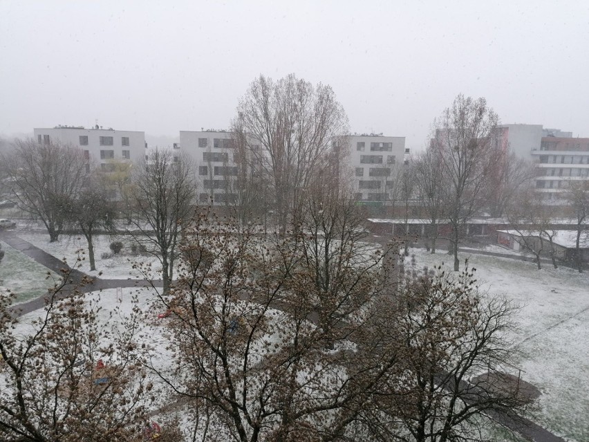 W niektórych miejscach Poznania spadł śnieg.