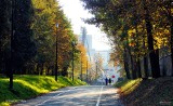 Tego nie wiedziałeś o Parku Śląskim w Chorzowie! TOP 10 ciekawostek. Jakie tajemnice skrywa jeden z największych parków w Europie?