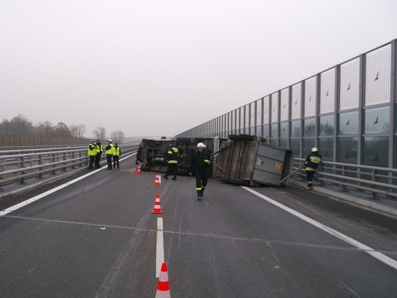 Wypadek na S8. Wywróciła się ciężarówka wioząca byki. Droga była zablokowana (ZDJĘCIA)