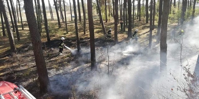 W czwartkowe popołudnie doszło do kolejnego pożaru w podłabiszyńskich lasach. Tym razem strażacy walczyli z ogniem w Smerzynie. Pojawili się w samą porę. Jak informują ochotnicy z OSP Łabiszyn, ostatecznie spaleniu uległo około 20 metrów kwadratowych poszycia leśnego. W akcji oprócz strażaków z Łabiszyna brały udział dwa inne zastępy: JRG Żnin oraz OSP Lubostroń.Agro Pomorska odcinek 58