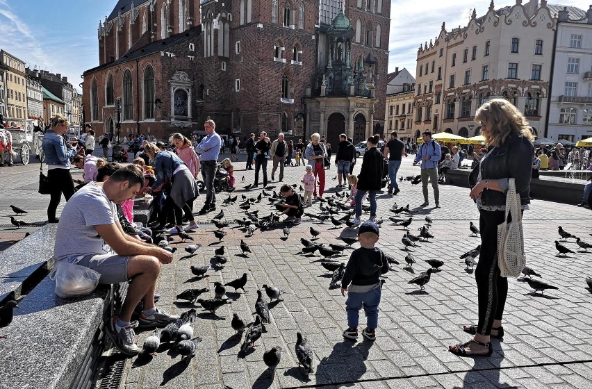 Małopolska. Brak zagranicznych gości sprawił, że w 2021 r. przedsiębiorcy z branży turystycznej nie mieli powodów do radości