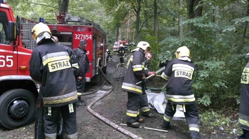 Ćwiczenia strażaków w Łagiewnikach. Gasili pożar lasu, szukali topielca [zdjęcia]