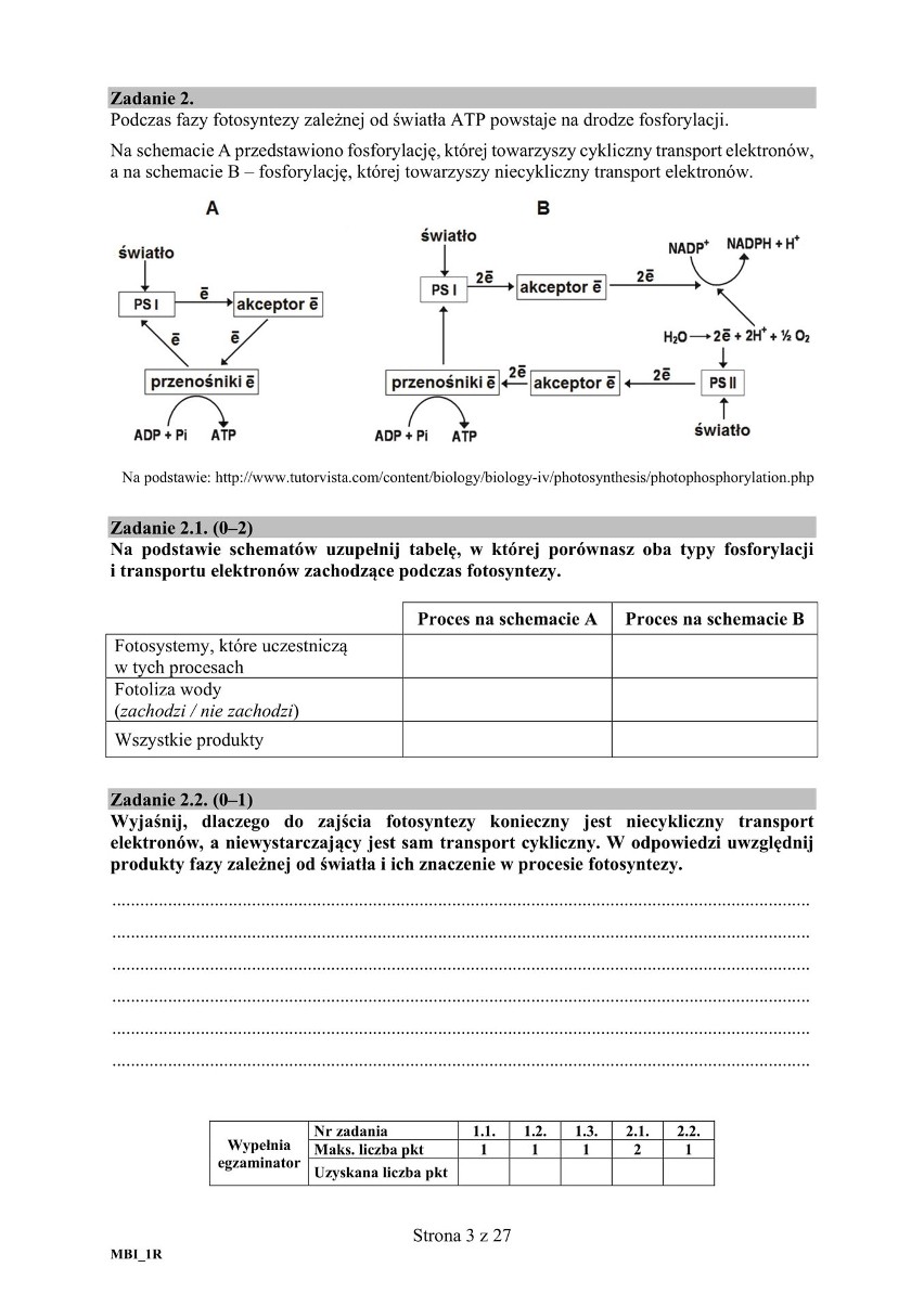 Matura Biologia 2019 Arkusz CKE, Odpowiedzi