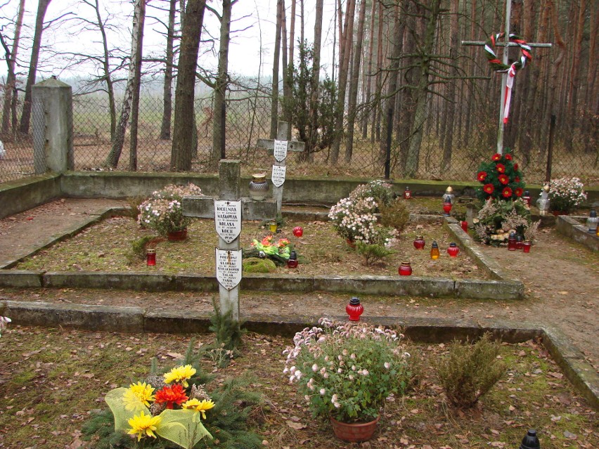 Nadleśnictwo Radziwiłłów | Cmentarz w Leśnictwie Młodzieszyn - 4 mogiły żołnierzy armii „Poznań” i „Pomorze” poległych w „Bitwie nad Bzurą”