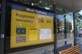 MPK Poznań: Ciemne chmury nad komunikacją publiczną. Kumulują się remonty i brak kierowców autobusów