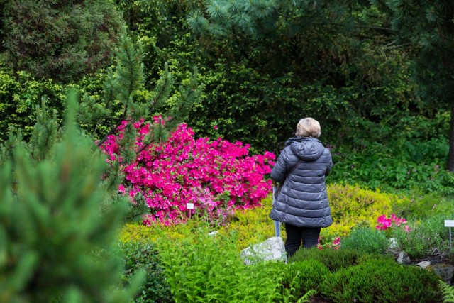 Znów czynny jest krakowski Ogród Botaniczny