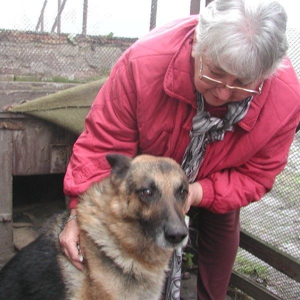Na zdjęciu Irena Sadowska i jej pies, Rambo