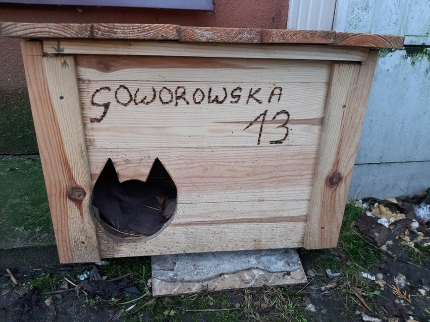 Ostrołęka. Budka dla kota przy bloku na ul. Goworowskiej 13. Zobaczcie jak mieszkańcy pomagają bezdomnym kotom. 11.02.2022