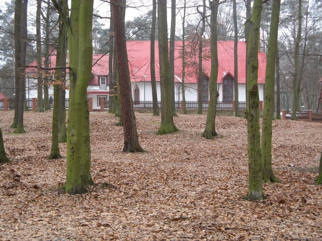 Wycinka drzew na tym terenie kosztowałaby gminę 2 mln zł.