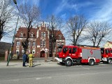 Ewakuacja szkoły w Bielawie na Dolnym Śląsku. Interweniowała grupa chemiczna. Co tam się stało?