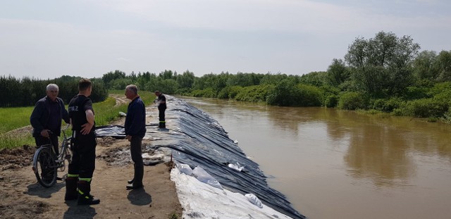 Modernizowane odcinki wałów Sanu i Wisły w radomyskiej gminie wytrzymały napór wody
