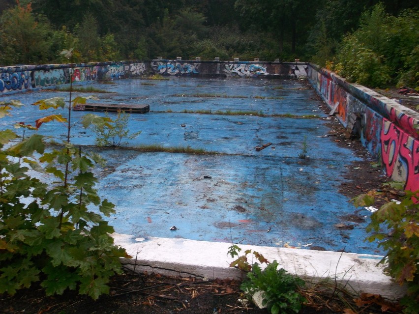 Stary basen przy Ślężnej wygląda jak dżungla. Miasto obiecało tu budowę nowoczesnej szkoły (ZDJĘCIA)