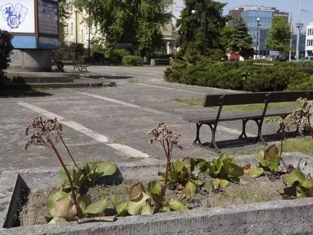 Donice na skwerze przy ulicy Rumińskiego