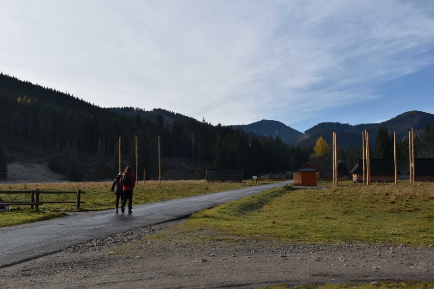 Tatry. Na Siwej Polanie powstaje park linowy. Sprawę bada nadzór budowlany [ZDJĘCIA]