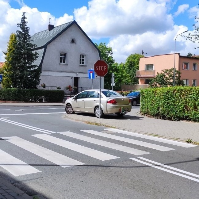 Na trawnikach, przejściach dla pieszych, na chodniku, tam,...