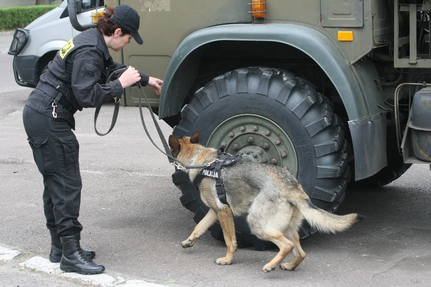 Mistrzostwa Kynologiczne Policji. Policyjne psy szukały narkotyków w samochodach [ZDJĘCIA, FILM]