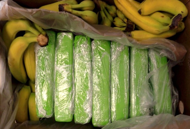Banany z paczkami narkotyków. Zdjęcie ilustracyjne