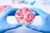 Najnowsze badania dotyczące antybiotyków w mięsie. Rozmowa z prof. dr hab. Katarzyną Ognik