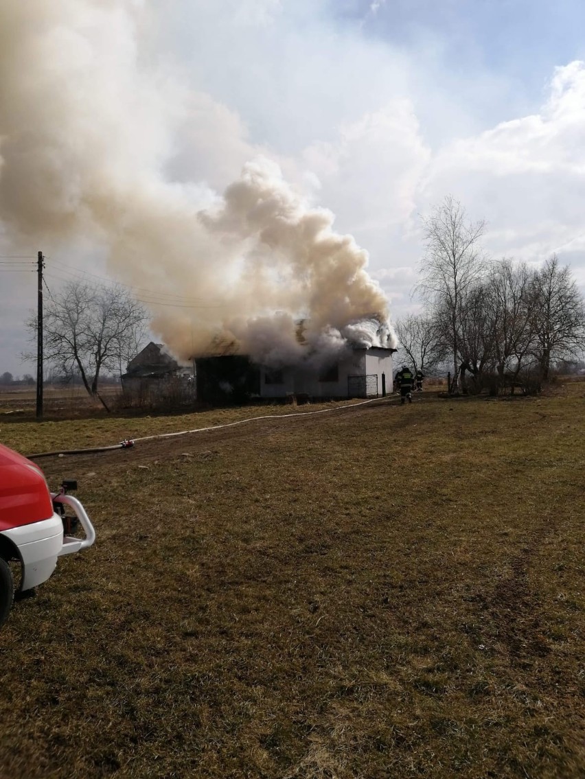 Pożar domu w Szwagrowie w gminie Osiek. 10 zastępów straży pożarnej w akcji