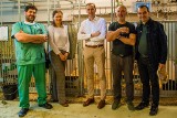 Specjaliści z GUMed badają bioimplanty z nanocelulozy. Trwają testy na owcach. Sukces gdańskich naukowców 