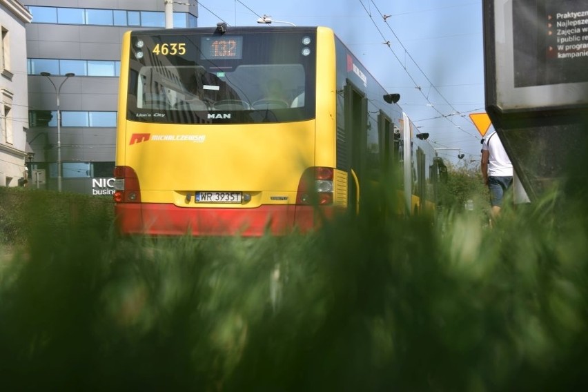 W poniedziałek skrawki trawników pojawiły się na...