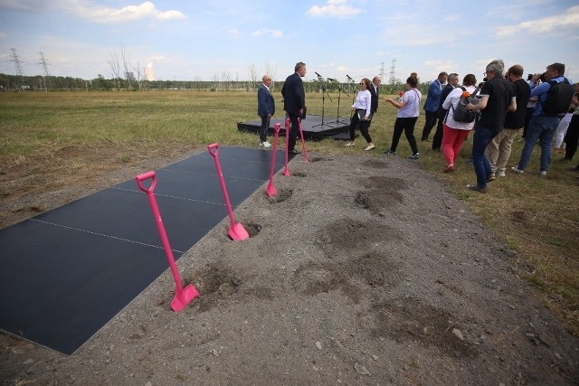 Rozpoczęte w czwartek 14 lipca prace budowlane zakładają zainstalowanie 94 tys. paneli fotowoltaicznych. Ich łączna powierzchnia wyniesie 16 ha, co odpowiada aż 22 boiskom do piłki nożnej.Zobacz kolejne zdjęcia. Przesuwaj zdjęcia w prawo - naciśnij strzałkę lub przycisk NASTĘPNE