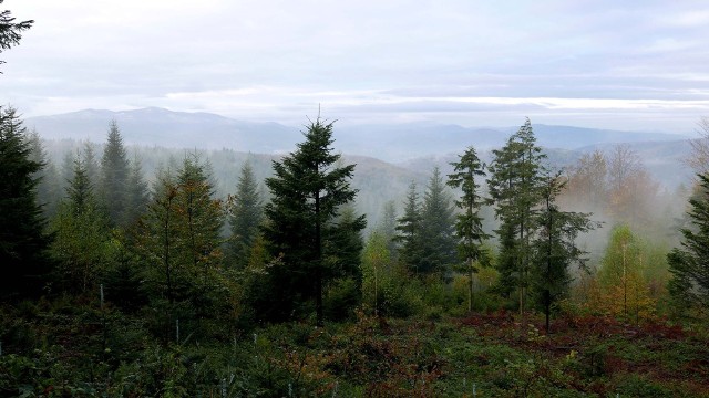 Koskowa Góra. Widoki, jakie się z niej roztaczają zaliczane są do najpiękniejszych w Beskidzie Średnim.