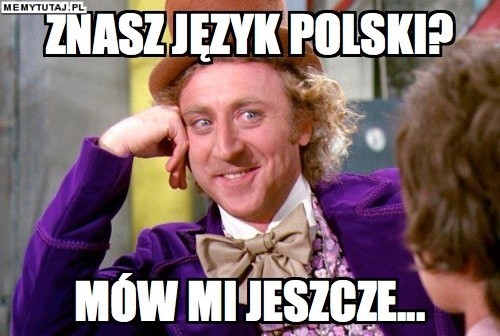 Memy o języku polskim rozbawiły do łez niejednego internautę. Zobacz popularne grafiki z okazji Międzynarodowego Dnia Języka Ojczystego