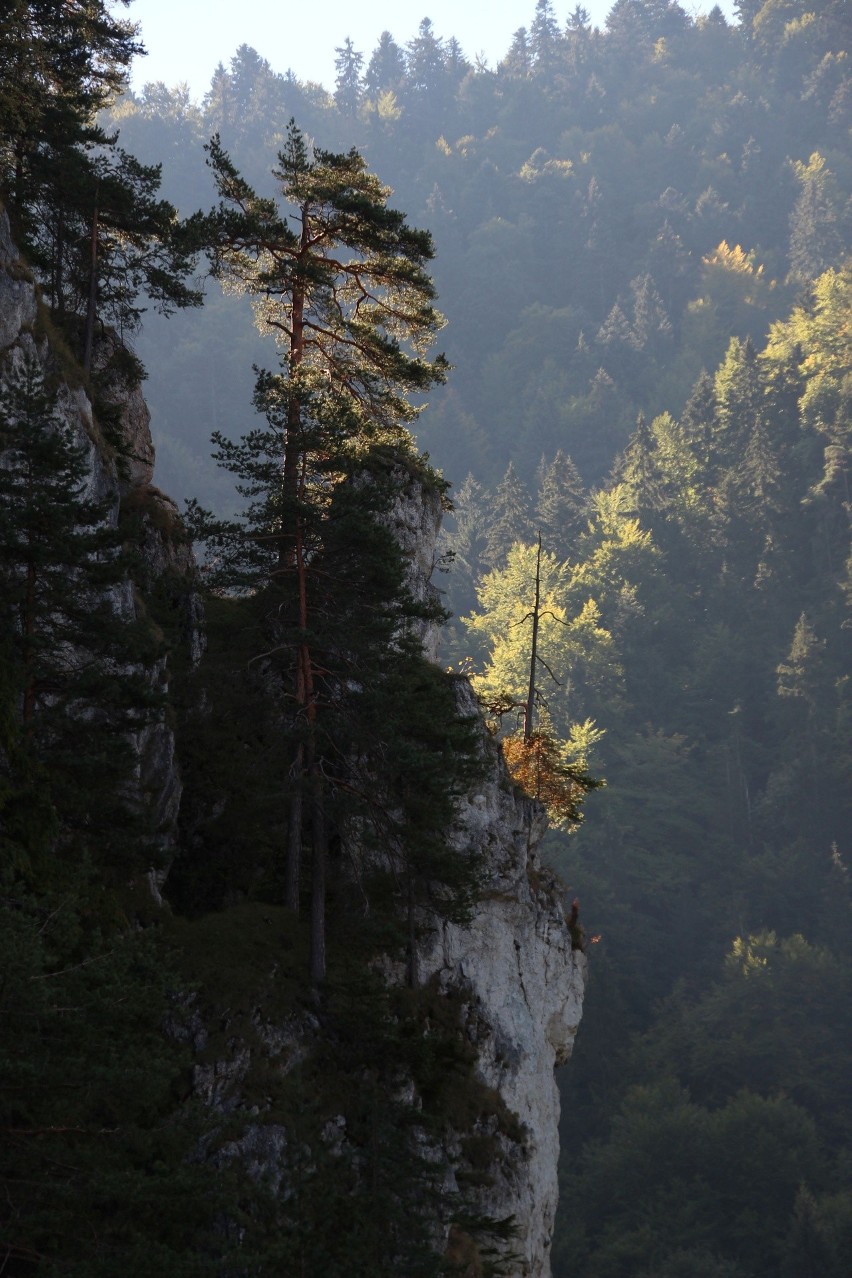 Mała Fatra - Zbójnicki Chodnik. Zobacz kolejne zdjęcia....