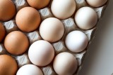 Właściwości lecznicze jajek na miękko. Te zmiany zachodzą w twoim organizmie, gdy je jesz