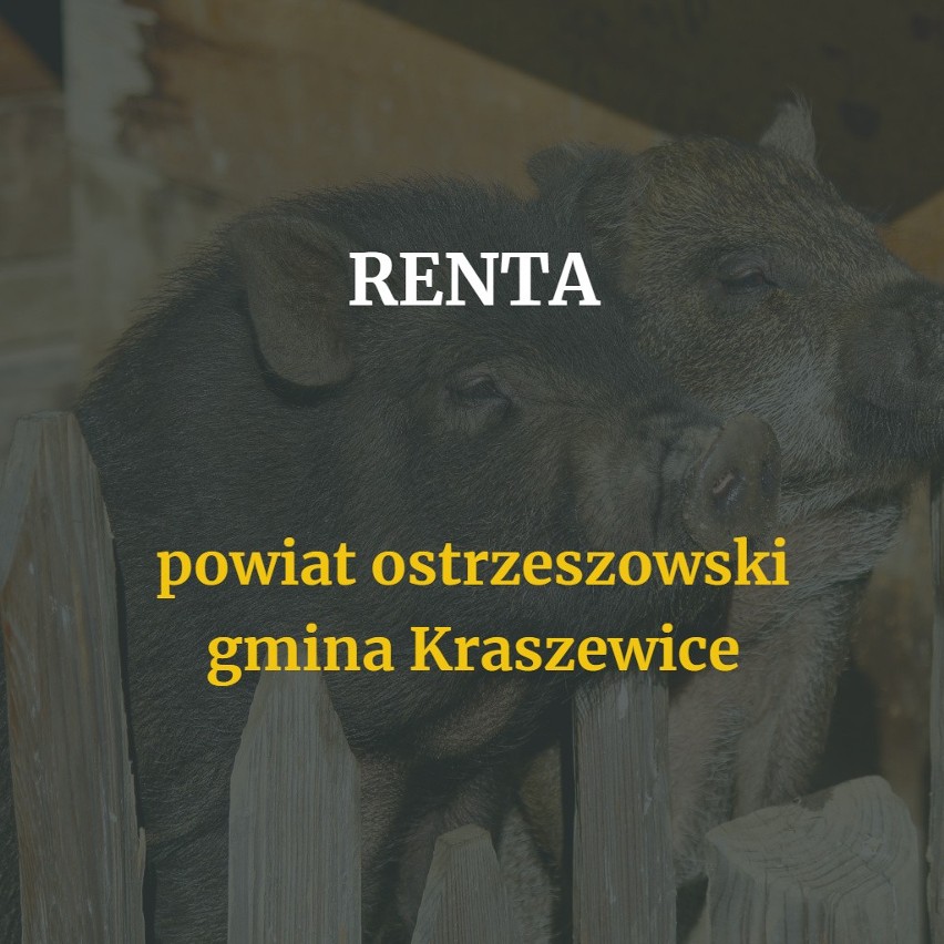 Podróżując po Wielkopolsce, można odwiedzić naprawdę...