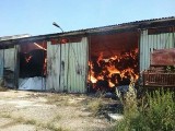 Strażacy trzeci dzień gaszą pożar siana w Łodzince 