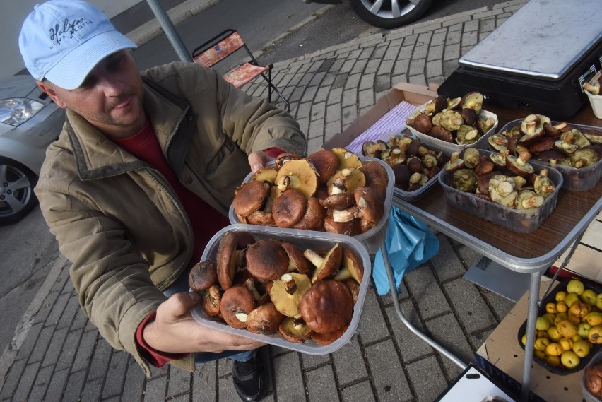 Gdzie na grzyby? Które grzyby są jadalne? O wszystkim...