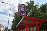 Białystok. Rozkład jazdy BKM zmienia się od 1 września. Mieszkańcy dalej narzekają na stada autobusów