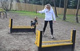 W bydgoskim Śródmieściu powstanie wybieg dla psów ze strefą sportowo-treningową