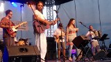 Wielka impreza w Sandomierzu - Dookoła Wody Festival i Gala Orderu Rzeki Wisły (WIDEO)