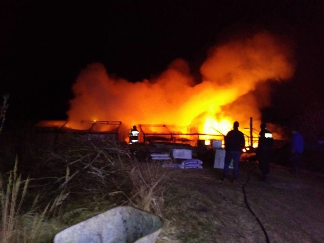 Pożar wybuchł minionej nocy (28 lutego) w miejscowości Jenin. Strażacy ochotnicy z Bogdańca wyjechali do akcji o godz. 1.19 dwoma zastępami "Florianem" i "Jelonkiem". Jak się okazało, palił się namiot (folia) pod którym uprawiane były warzywa. Na miejsce dojechał jeszcze zastęp z JRG2 Gorzów i patrol policji. Ogień szybko udało się ugasić. Na razie nie są znane przyczyny pożaru.Zobacz też: Pożar samochodu na drodze nr 92 koło Świebodzina