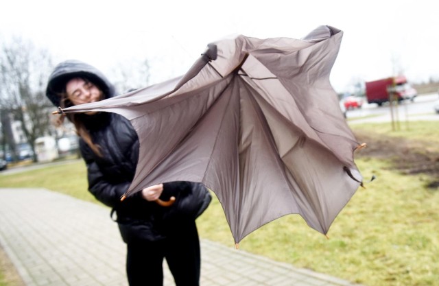 Instytut Meteorologii i Gospodarki Wodnej - Państwowy Instytut Badawczy wydał w środę ostrzeżenie pierwszego stopnia przed silnym wiatrem. Alert dotyczy całego województwa wielkopolskiego.