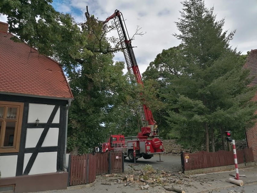 Strażacy w Łagowie usuwają gałęzie drzewa, które stwarzają...