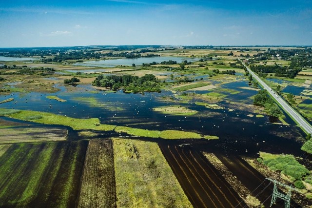 W minioną sobotę w miejscowości Rataje i Słupia w gminie Pacanów na polach wciąż stała woda po ulewach, jakie przeszły nad gminą na początku sierpnia.