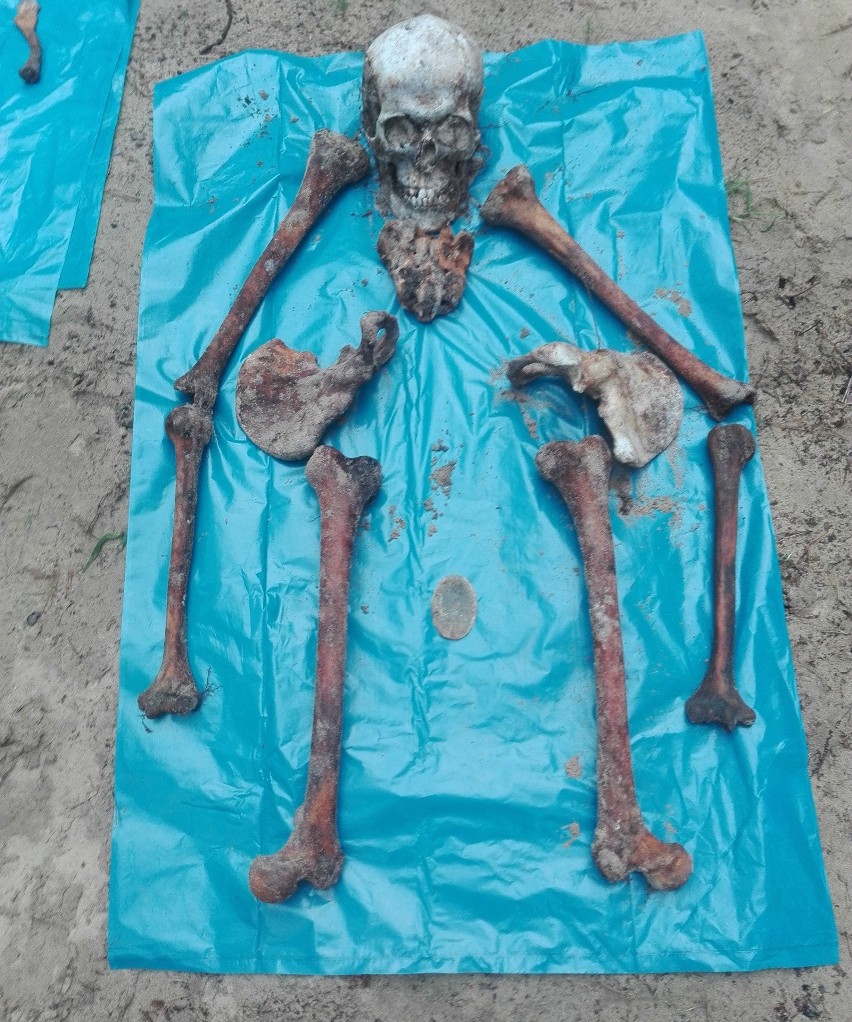 Znaleziono szkielet niemieckiego żołnierza w… Zmarłych. Rozpoczęły się też ekshumacje w gminie Włoszczowa 