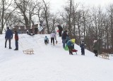 Dużo dzieciaków jeździło w niedzielę na sankach w parku Tadeusza Kościuszki w Radomiu. Zobaczcie zdjęcia