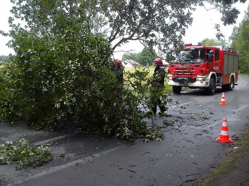 Burza w Mysłowicach: Są powalone drzewa i zerwane trakcje