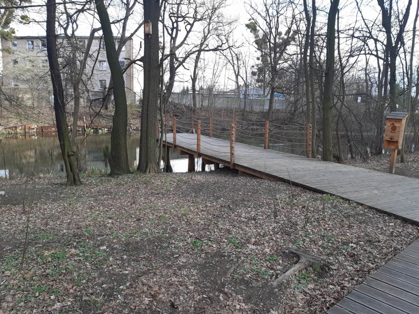 Park "Czarna Woda" na Swojczycach doczeka się nowych atrakcji