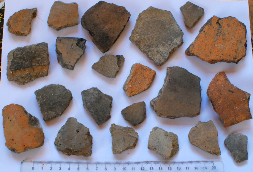 Fragmenty prehistorycznej ceramiki z Łyżki