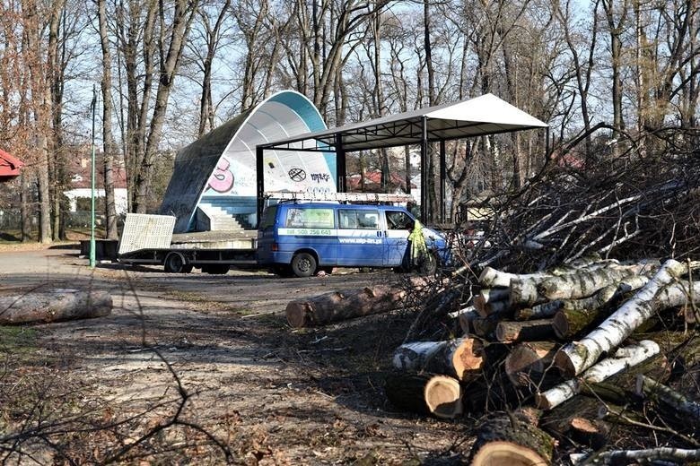 W lutym tego roku w parku Strzeleckim wycięto ponad 400...