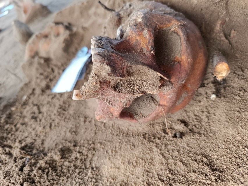 Na terenie bitwy pod Kunowicami znaleziono zbiorowe mogiły....
